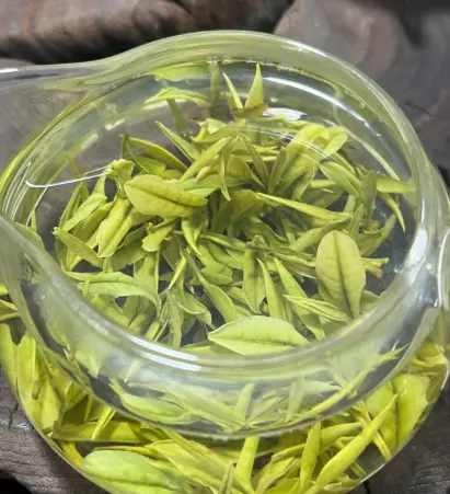 申城交友网：上海同城活动新玩法，美食打卡分享引爆社交圈 🍜