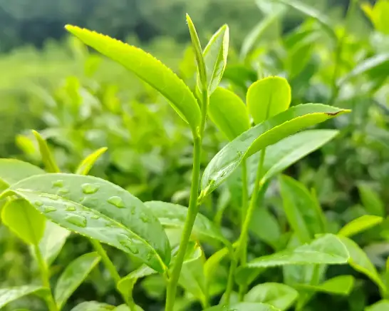 上海追梦人互助社群怎么加入？我劝你先别急着扫码